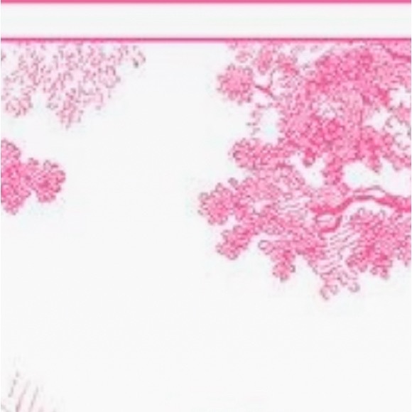 Meet your Posher, Kennedy - Picture 1 of 1